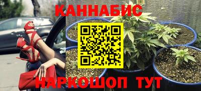 трава Будённовск