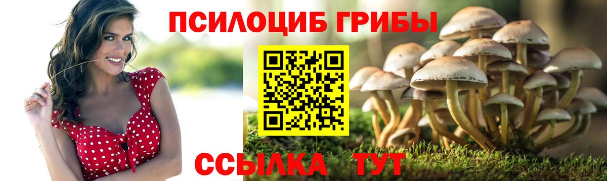 Семёнов  Псилоцибиновые грибы мицелий  Вход с VPN 
